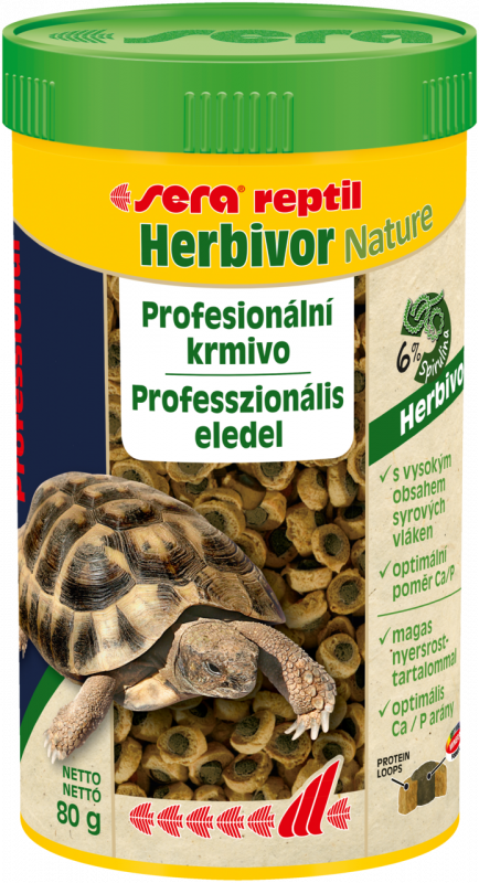 reptil Professional Herbivor Nature