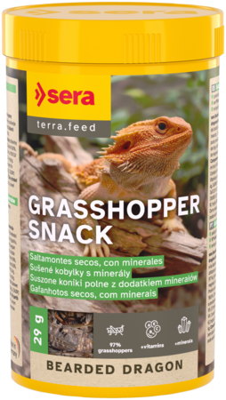 sera Bearded Dragon Grasshopper Snack