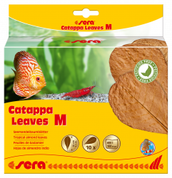 Catappa Leaves - listy mandlovníka morského