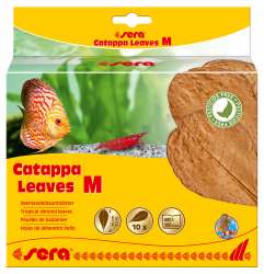 Catappa Leaves - listy mandlovnka morskho