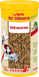 Koi silkworm Nature