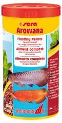 Arowana