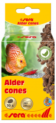 alder cones - jelov uky