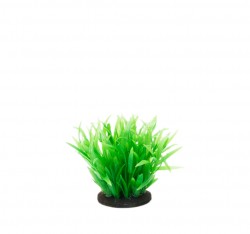 premium plant mini RP207