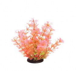 premium plant mini RP208