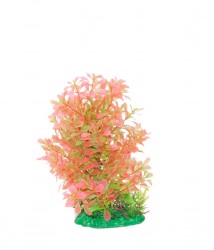 premium plant small RP301