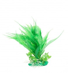 premium plant small RP304