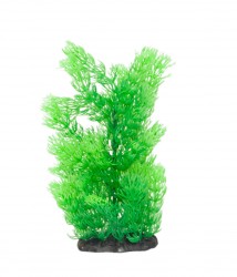 premium plant small RP308