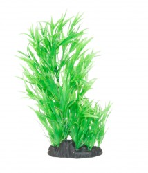 premium plant small RP309