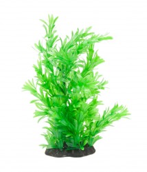 premium plant small RP316