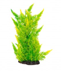 premium plant small RP318