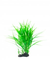 premium plant medium RP401