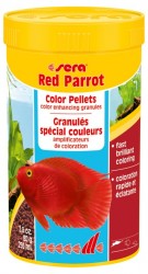 Red Parrot